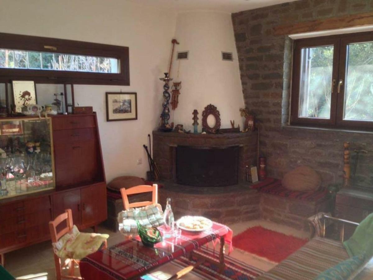 Villa Roula Mikrospilia Екстериор снимка